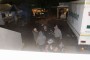 Thumbs/tn_Hatzenport 2019 214.jpg